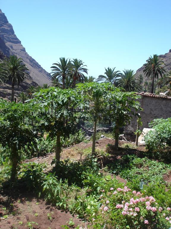 Goyo Gomera Apartments Valle Gran Rey Esterno foto