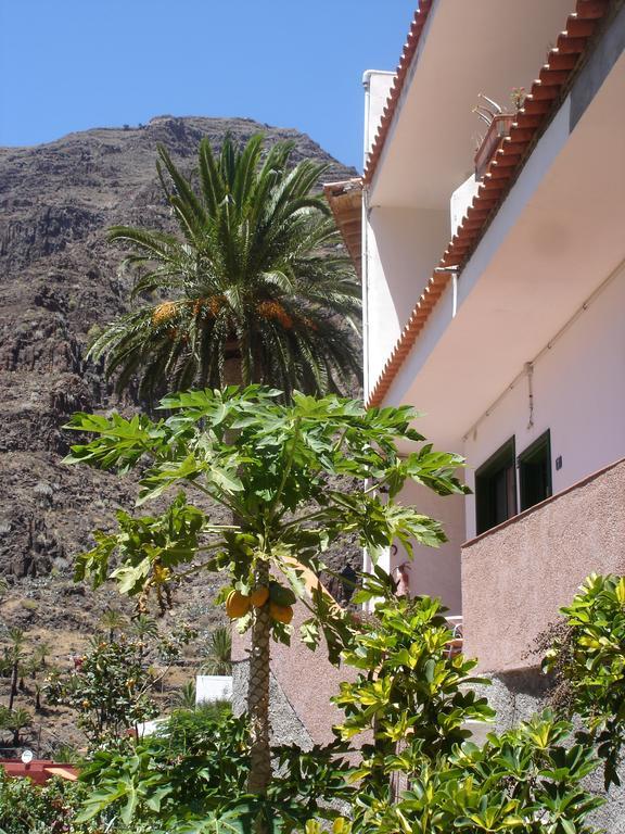 Goyo Gomera Apartments Valle Gran Rey Esterno foto