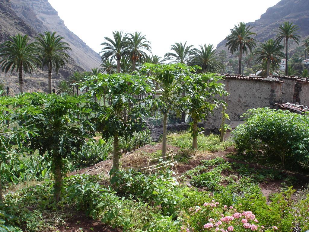 Goyo Gomera Apartments Valle Gran Rey Esterno foto