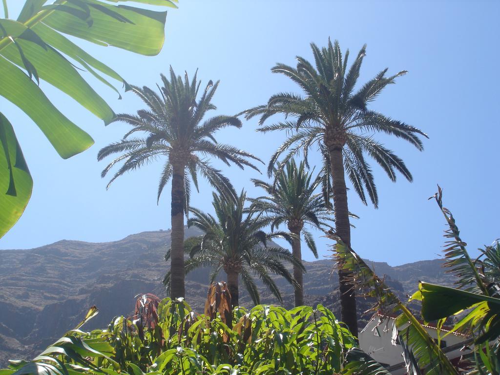 Goyo Gomera Apartments Valle Gran Rey Esterno foto