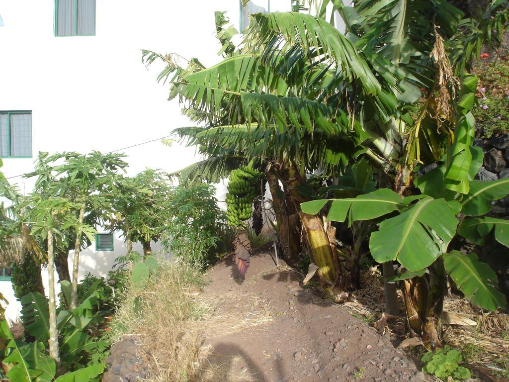 Goyo Gomera Apartments Valle Gran Rey Esterno foto